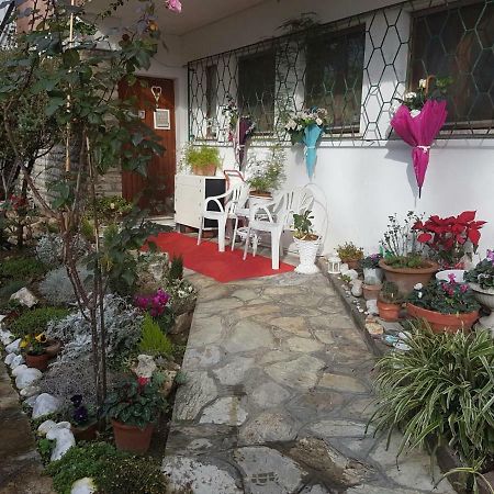 بيزا B&B Gioia المظهر الخارجي الصورة
