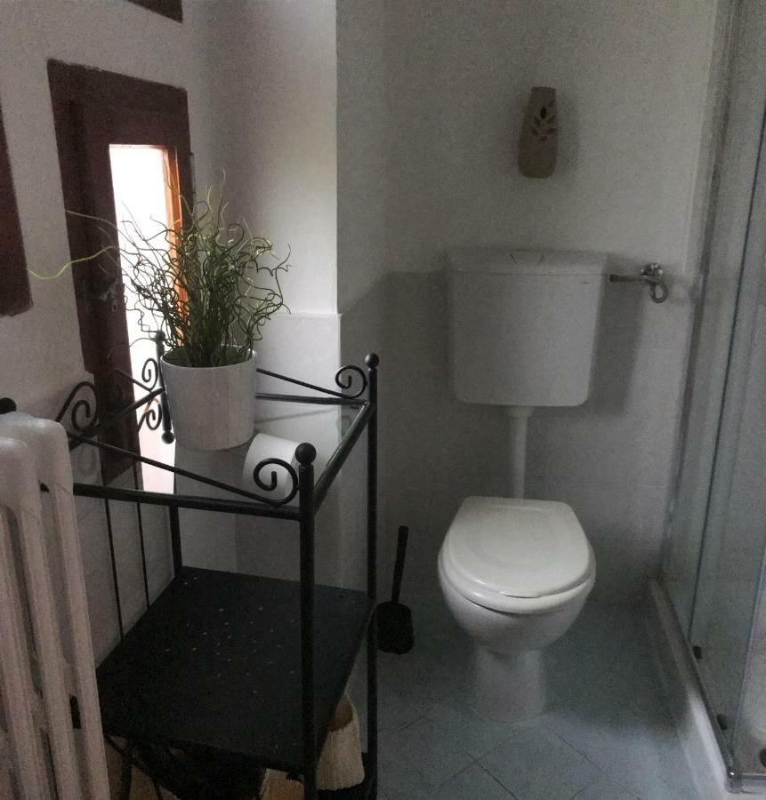 بيزا B&B Gioia المظهر الخارجي الصورة