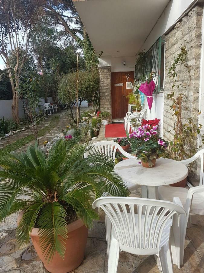 بيزا B&B Gioia المظهر الخارجي الصورة