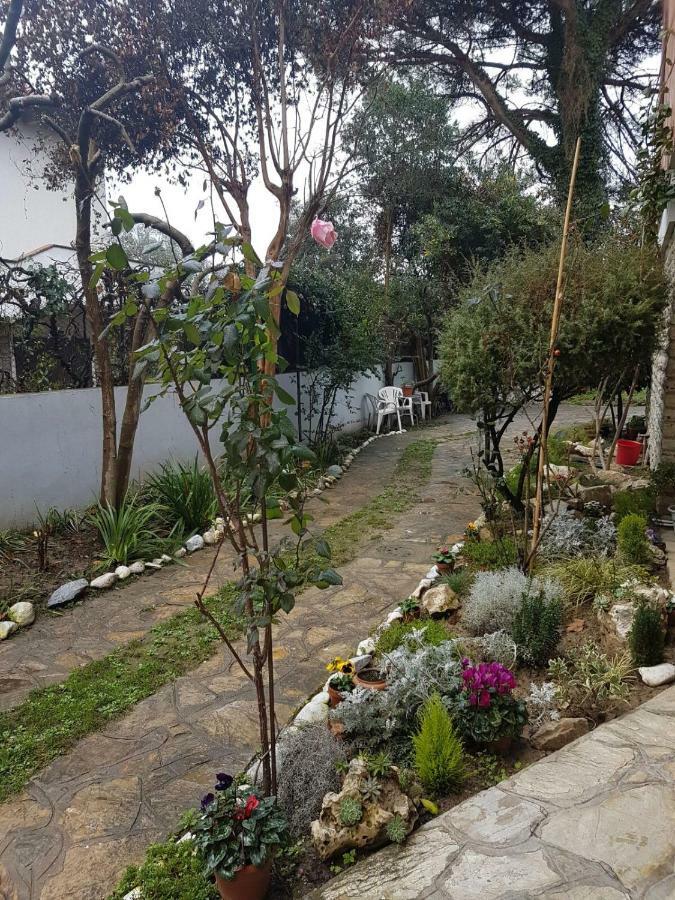 بيزا B&B Gioia المظهر الخارجي الصورة