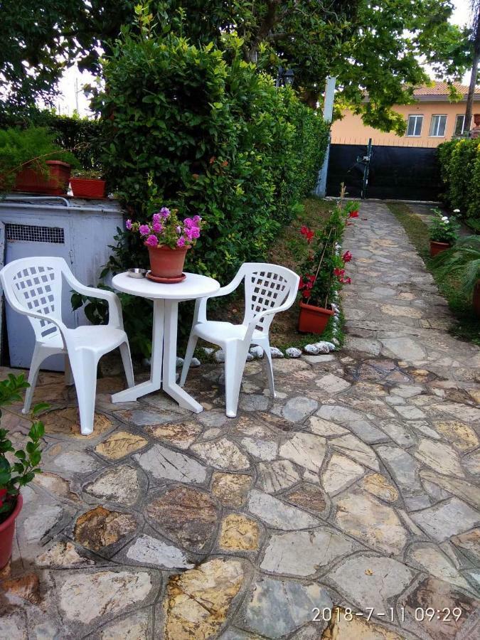 بيزا B&B Gioia المظهر الخارجي الصورة