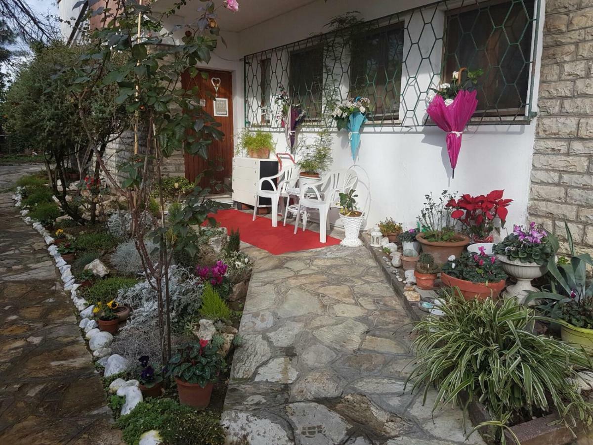 بيزا B&B Gioia المظهر الخارجي الصورة