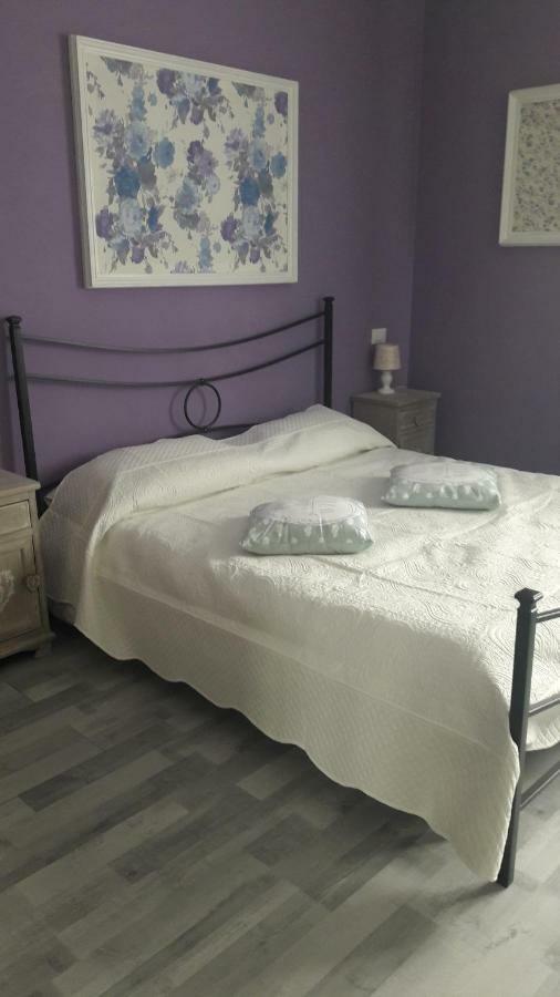 بيزا B&B Gioia المظهر الخارجي الصورة