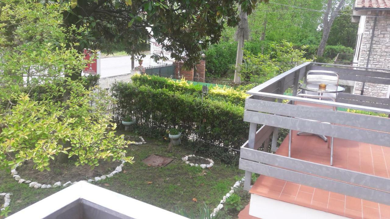 بيزا B&B Gioia المظهر الخارجي الصورة