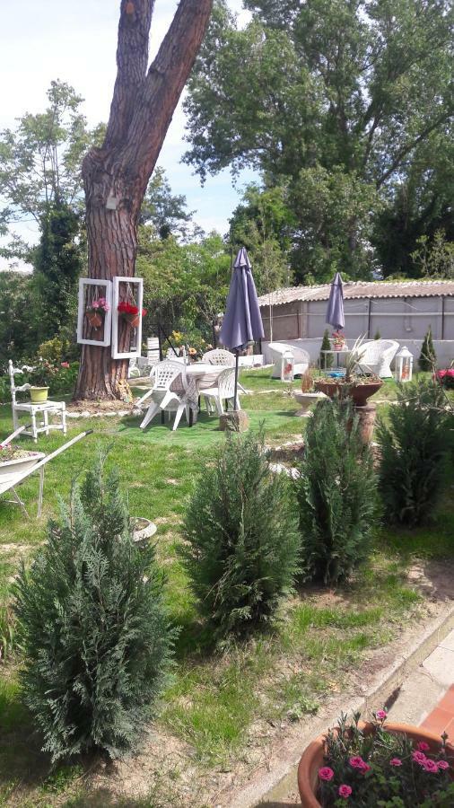 بيزا B&B Gioia المظهر الخارجي الصورة