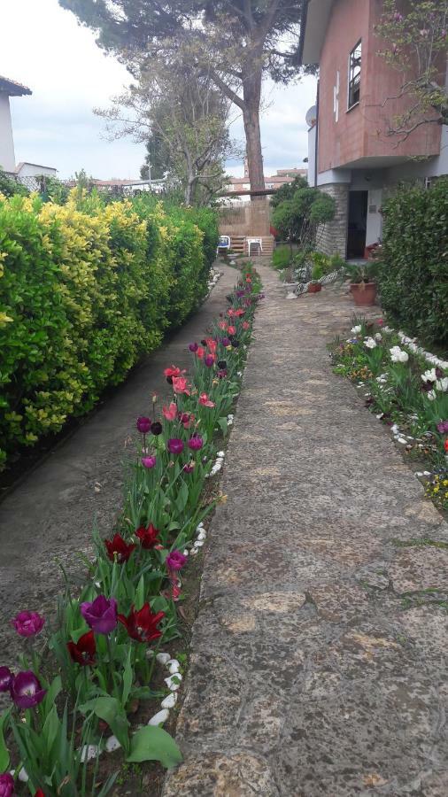 بيزا B&B Gioia المظهر الخارجي الصورة