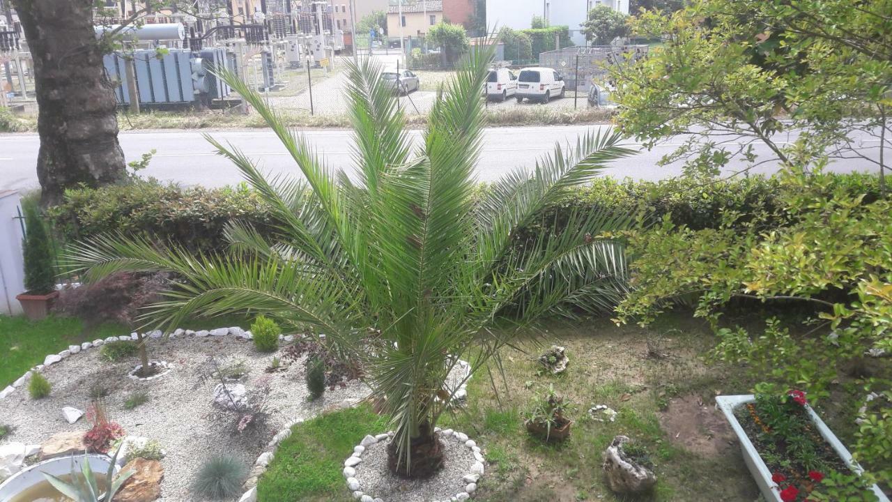 بيزا B&B Gioia المظهر الخارجي الصورة