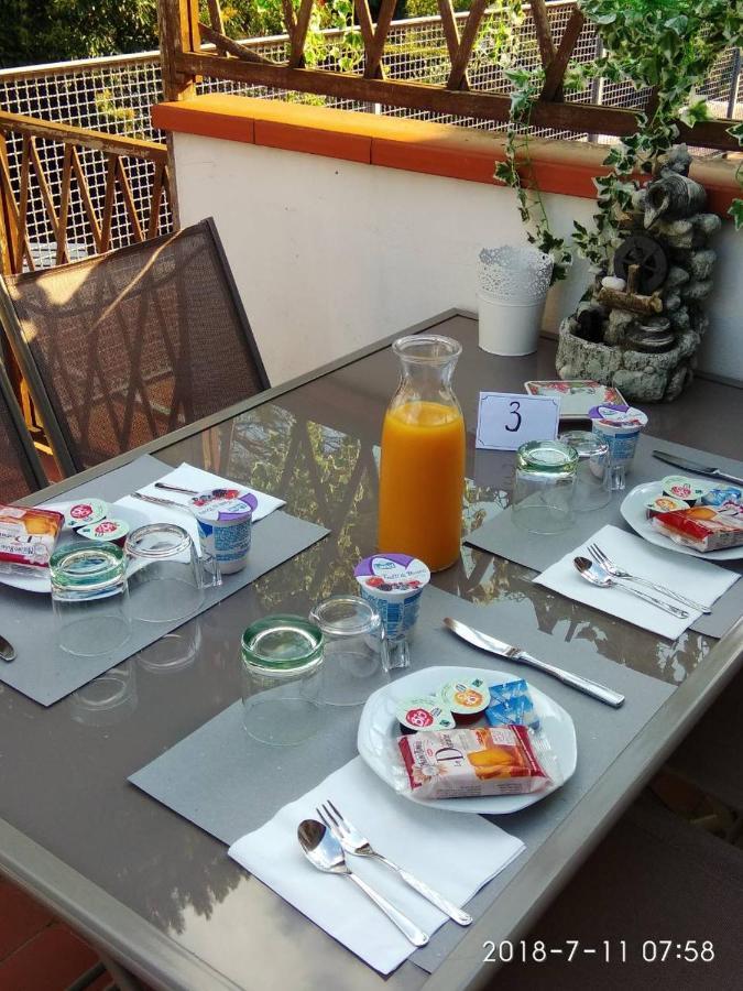 بيزا B&B Gioia المظهر الخارجي الصورة