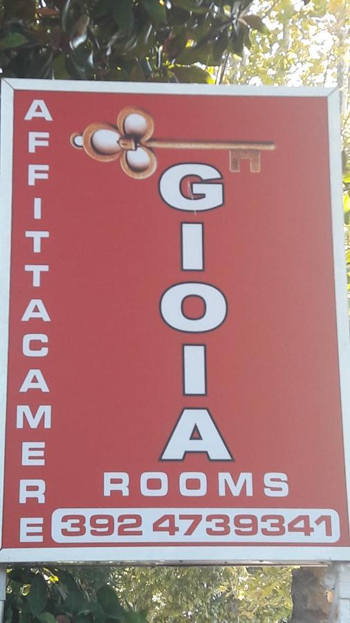بيزا B&B Gioia المظهر الخارجي الصورة